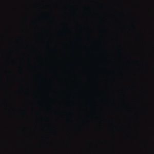 Meet your Posher, Kylie